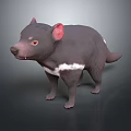 Realistic 3D Model of Tasmanian Devil Featuring Black Fur White Chest Patch and Pink Ears