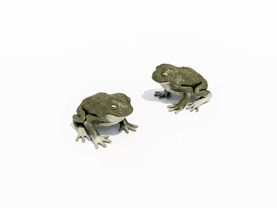 Two Green Frogs 3D Model Figurine With Realistic Detailed Design Features 3d model