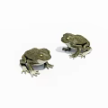 Two Green Frogs 3D Model Figurine With Realistic Detailed Design Features