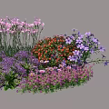 Vibrant Mixed Plant Combination With Pink Purple Red Flowers For Garden Decoration