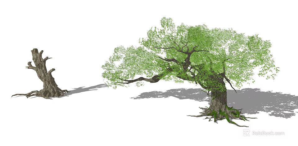 Lush Green Arbor With Thick Trunk Spreading Branches And Exposed Roots 3d model 