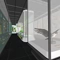 Museum Exhibition Hall Interior With Glass Display Cases And Animal Specimens