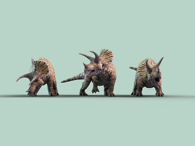 Three Triceratops Reptiles With Horns Frills And Patterned Skin On Light Green Background 3d model