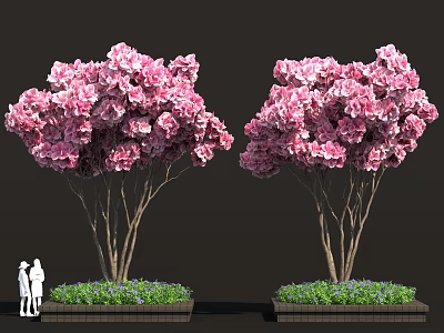 Two Clusters of Pink Flowering Shrubs in Planters with Green Base and People Silhouette 3d model