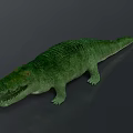 Realistic Green Crocodile 3D Model With Detailed Skin Texture And Open Mouth