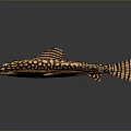 Black and orange spotted striped fish shaped decorative household item with vibrant pattern