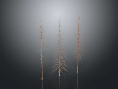 Three Slender Bare Trees Against Dark Gradient Background With Reflective Ground 3d model