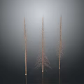 Three Slender Bare Trees Against Dark Gradient Background With Reflective Ground 3d model