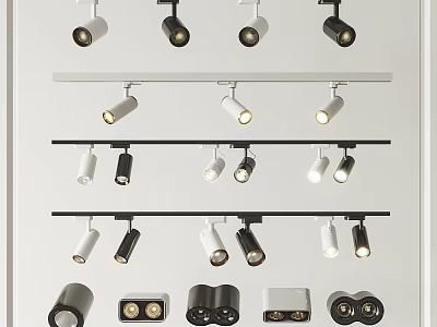 Modern Black and White Downlights and Spotlights with Track Mounted Designs 3d model