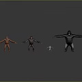 Various Sizes Primate Animal Models Standing In Gray Background With Reflective Floor