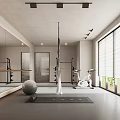 Modern Home Gym Exercise Bike Yoga Ball Suspension Strap With White Cabinets Mirror Window Design