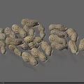 Organic Fresh Raw Peanuts In Shell Pile For Healthy Snacks
