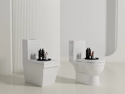 Two Modern White Toilets In Minimalist Bathroom With Decorative Items 3d model