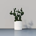 Indoor Potted Cactus Plant with White Striped Pot and Green Pads on Gray Tabletop