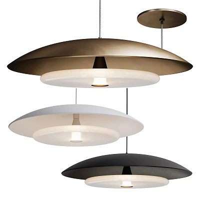 Stylish Modern Pendant Lights Multi Color Gold White Black Double Layer Circular Design 3d model
