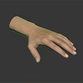 Detailed Human Hand with Fine Hair and Natural Skin Texture Closeup View