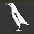 White Seagull with Spread Wings Standing on Black Surface and Showing Clear Reflection 3d model
