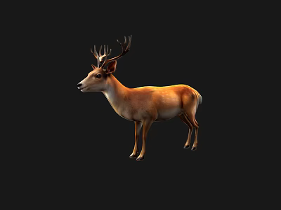 Realistic 3D Brown Deer With Antlers Standing On Black Background 3d model
