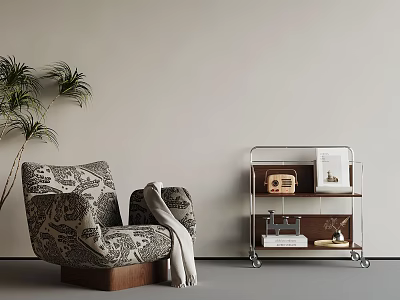 Cozy Modern Interior With Patterned Armchair Blanket Metal Cart Radio Books And Potted Plant 3d model