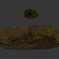 Natural Plant Roots with Mossy Soil and Small Stump on White Background