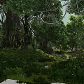 Beautiful Lush Tropical Forest Scenery With Giant Ancient Banyan Trees And Dense Green Vegetation