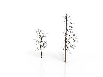 Two Leafless Trees Against White Background With Reflective Ground Surface 3d model