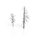 Two Leafless Trees Against White Background With Reflective Ground Surface