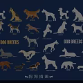 Various Decorative Dog Breed Illustrations With Different Postures For Wall Decor 3d model