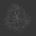 Tall Bare Tree With Delicate Branches And Silhouette Figure Against Dark Background