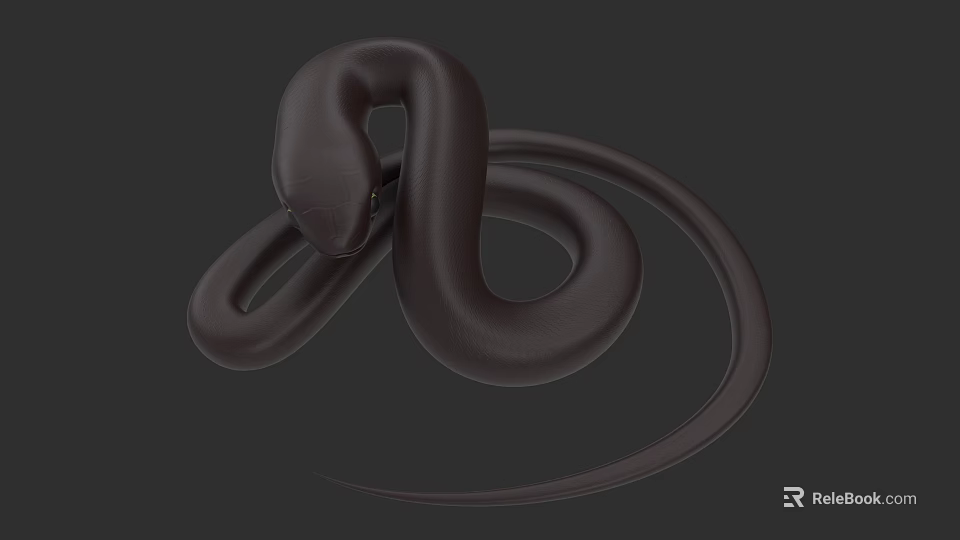 Black Snake With Coiled Body 3D Rendered On Gray Background 3d model 
