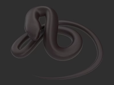 Black Snake With Coiled Body 3D Rendered On Gray Background 3d model