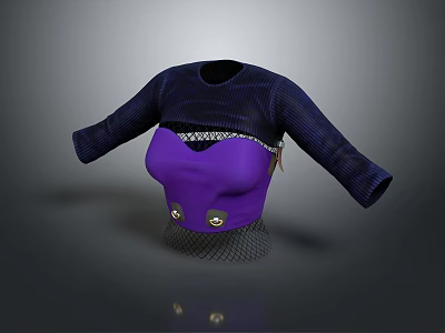 Modern clothes sexy clothing see-through sexy clothes women's clothing 3d model