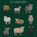 Colorful Sheep Themed Wall Decor with Various Poses and Colored Breeds for Home