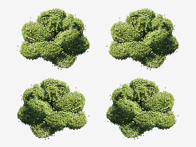 Vibrant Green Shrubs With Lush Foliage For Garden Landscaping And Decoration 3d model