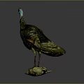 Turkey Taxidermy Mount With Green Brown Feathers On Stone Base Against Gray Background