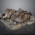 Natural Wood And Stone Material Samples With Organic Texture And Rustic Patterns