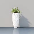 Potted Plant in White Textured Vase on Smooth Gray Surface with Light Gray Wall Background