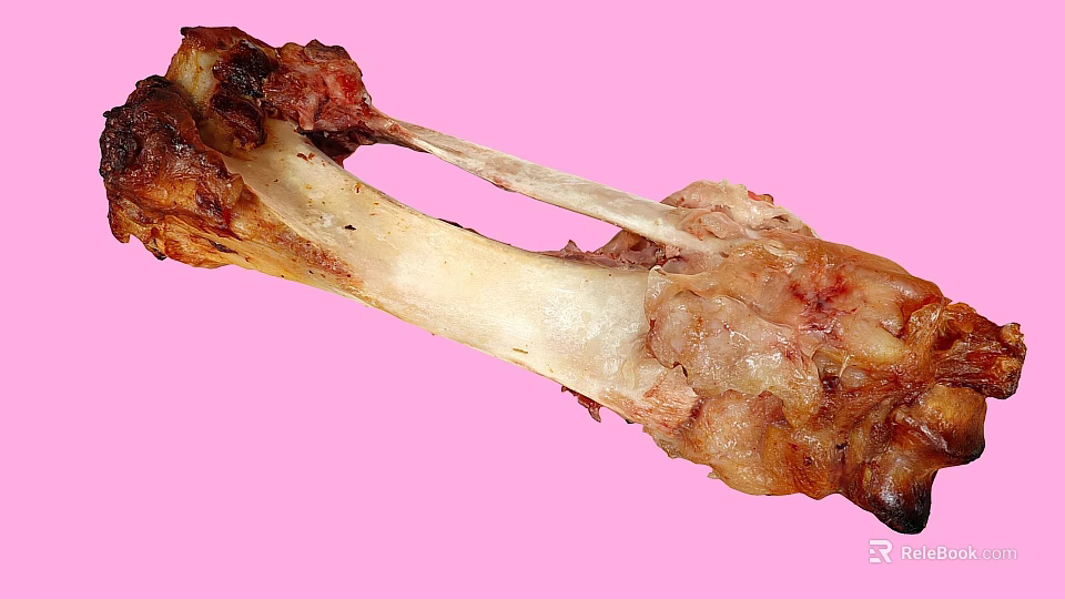 Essential Orthopedic Medical Devices for Bone Surgery and Clinical Applications 3d model 