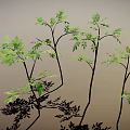 Multiple Slender Trunk Plants With Green Leaves And Shadow On Gray Background 3d model