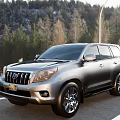Silver SUV Parked On Roadside With Green Trees And Street Lamp Background