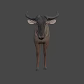 Realistic 3D Antelope Model With Grey Body Horns And Standing In Dark Background