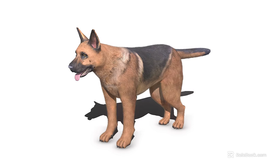 German Shepherd Dog In Standing Posture With Brown Black Fur And Tongue Out 3d model 