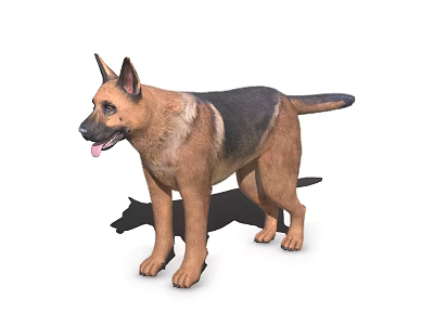 German Shepherd Dog In Standing Posture With Brown Black Fur And Tongue Out 3d model