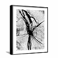 Black and White Abstract Painting With Radiating Lines And Textured Branch Like Forms
