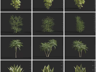 Various Arbor Tree Varieties Showing Different Foliage and Growth Habits for Landscaping 3d model