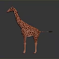 Game Movie Character 3D Giraffe with Reddish Brown Spots Standing on Gray Background with Reflection