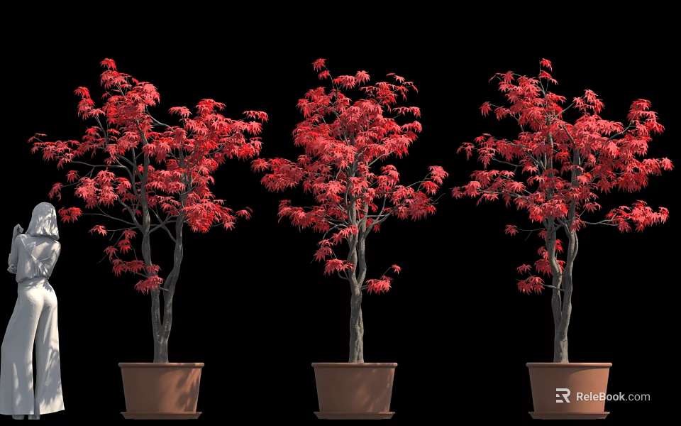 Red Leaf Potted Trees Against Black Background Three Decorative Plants with Vibrant Foliage 3d model 