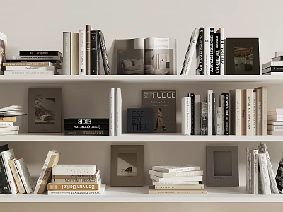 Bookshelf Decorative Items Collection With Various Books Photo Frames And Stacked Books 3d model