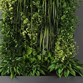 Vertical Living Plant Wall with Lush Green Foliage and Diverse Plant Species