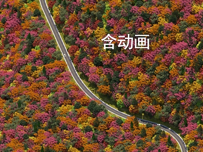 Fenglin Qiujing Panshan Highway Car Autumn Leaves 3d model